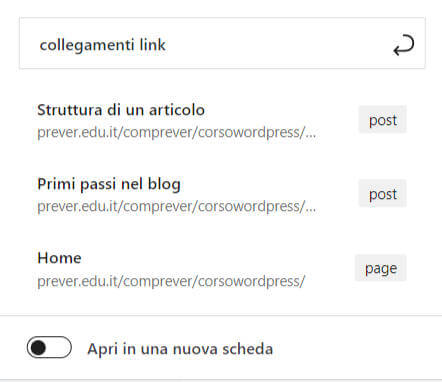 finestra collegamento insrisci url ricerca