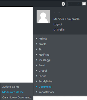Menu profilo- documenti