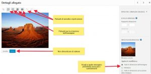 Wordpress scegliere le opzioni di dimensione immagini