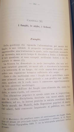 Pagina del libron I vegetali spontanei del piemonte dove si prala dei funghi