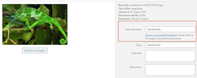come inserire testo alternativo dalla libreria media