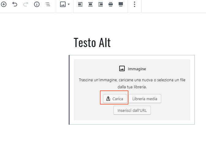 maschera di inserimento immagine