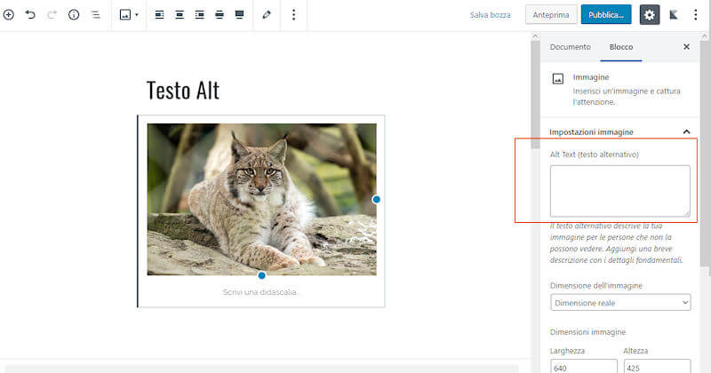 editor campo inserismento testo alt