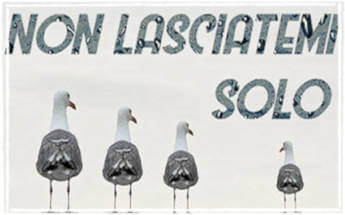 gabbiani, non lasciatemi solo