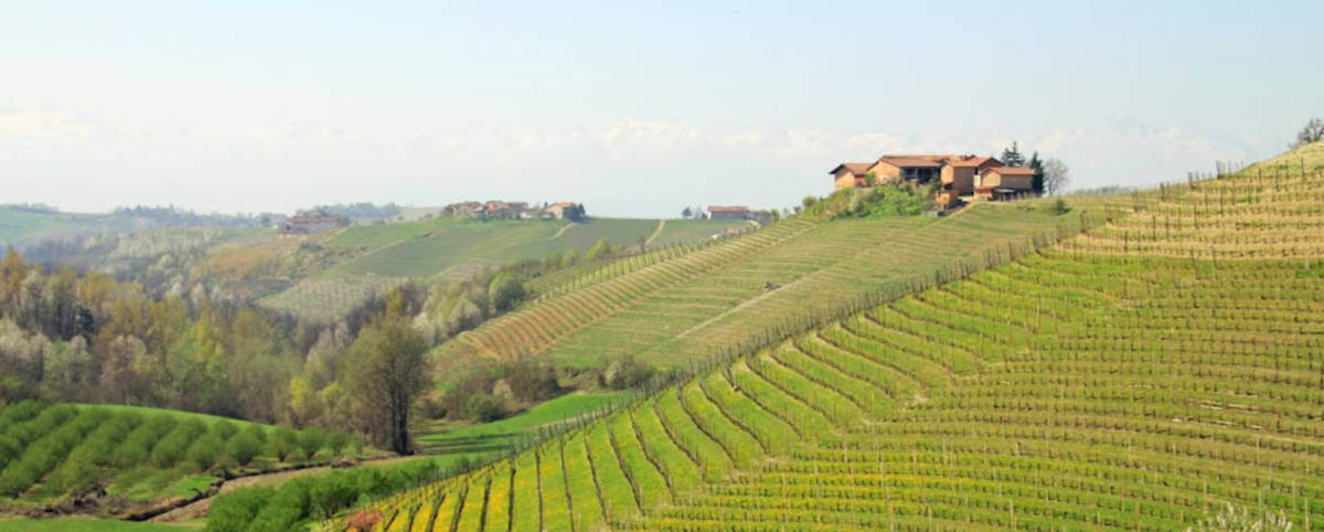 Colline Delle Langhe