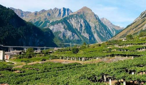 Valle Aosta Vigneti