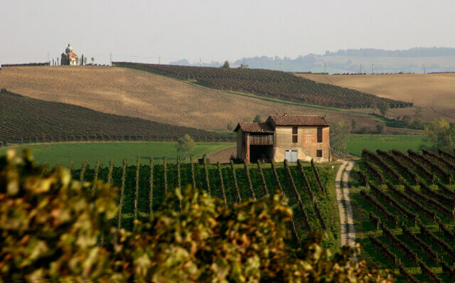 Colli Piacentini DOC