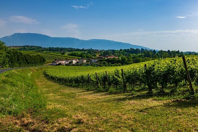Veneto Colline Prosecco