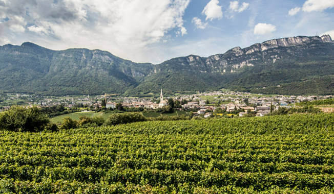Alto Adige Vigneti