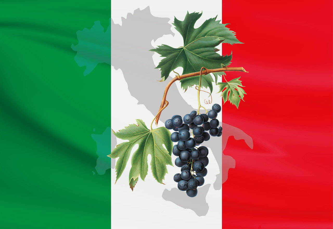 Italy Wine